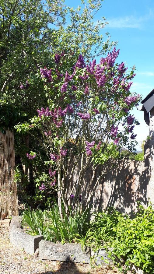 Villa Cote De Granit Rose Pleumeur-Bodou Exterior foto