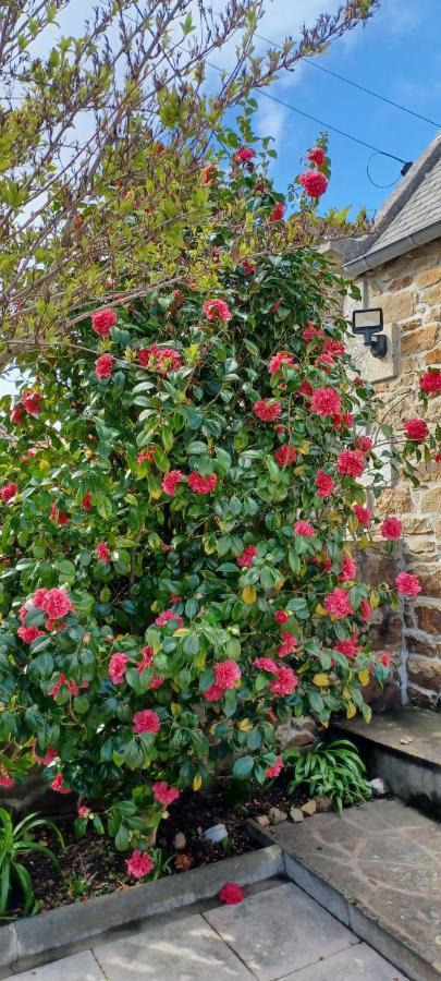 Villa Cote De Granit Rose Pleumeur-Bodou Exterior foto
